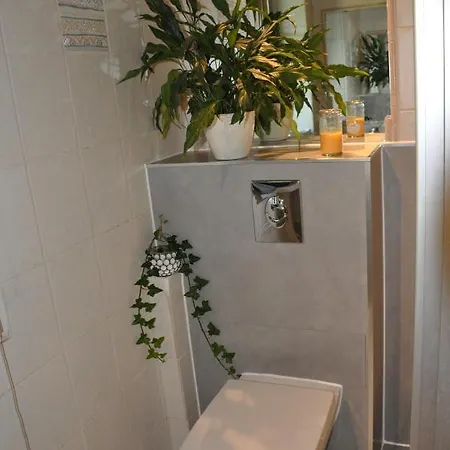 Kemnater Alm Apartment *